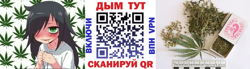 Конопля семена Купить где Тайга